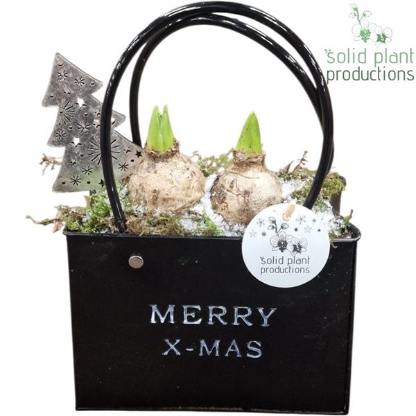 <h4>Arrangementen Hyacinthus 6%</h4>