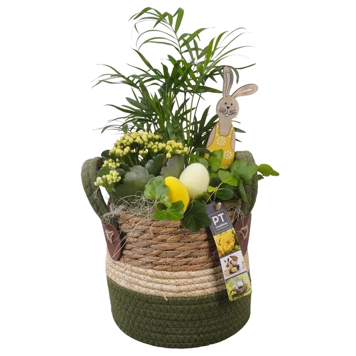 <h4>6554 MAND STREEP IND</h4>