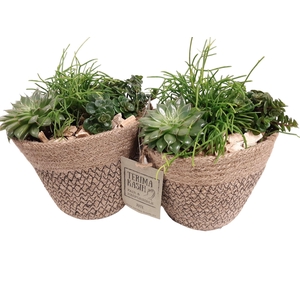 JMO13GMX Jute mand Ovaal D15 mini groenmix