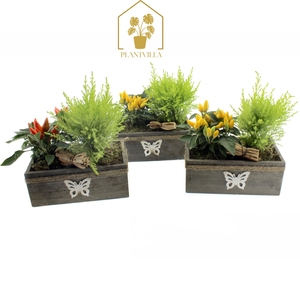 ARR TUINPLANTEN