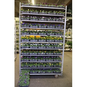 arr8 Vio Co Mixk 1 Kleur Per Tray