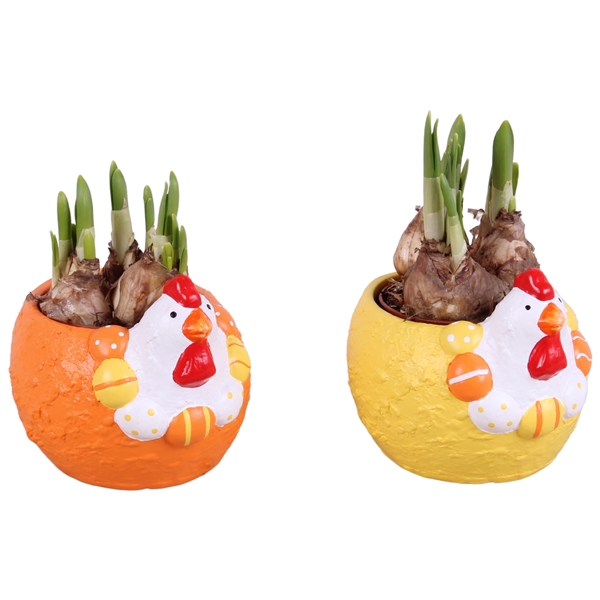 <h4>Easter Arr. Narcis Ceramic Colorful Chicken Mix Ø16cm</h4>