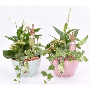 Keramiek schaal kl.mix 15cm