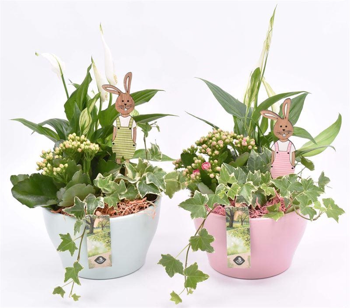 <h4>Keramiek schaal kl.mix 15cm</h4>