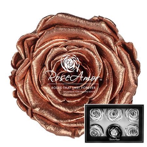 Lplus Metallic Copper