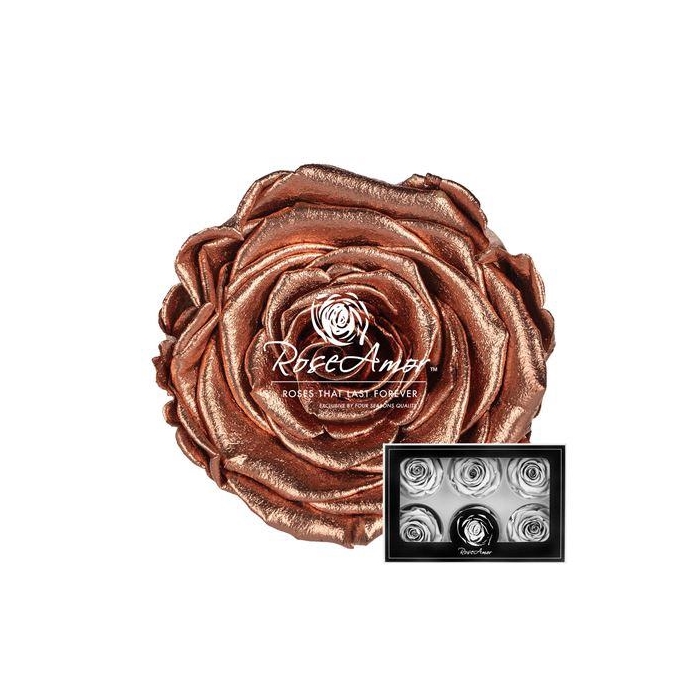 <h4>Xl Metallic Copper</h4>