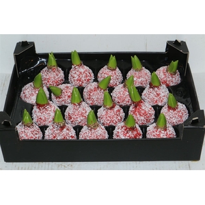 Wax Hyacinth Snow Rood Kerst