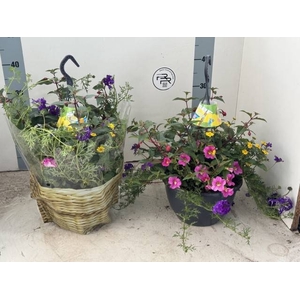 HANGING BASKETS