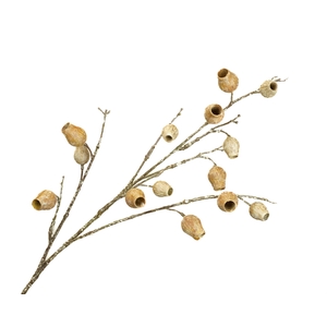 Eucalyptus Berry Beige