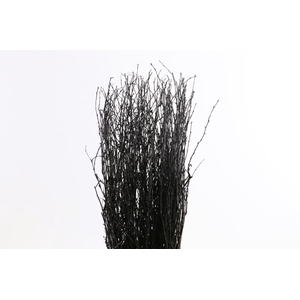 Berk Klb Black