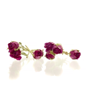 Sprayroses 20pc dark pink