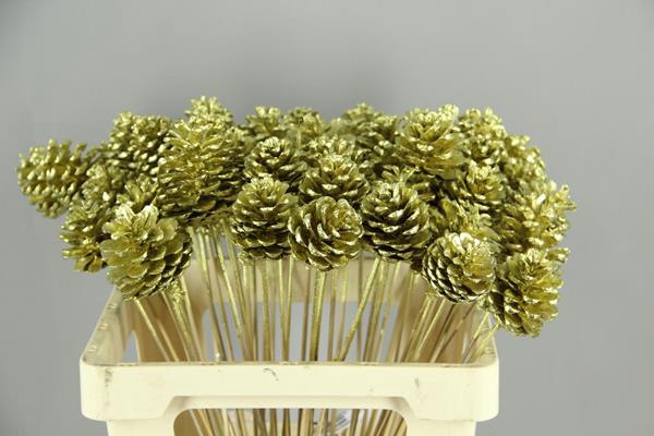 Stick Pine Cone Gold