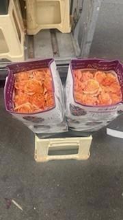 <h4>R GR CARPE DIEM+</h4>