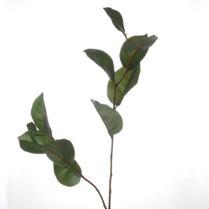 Af Salal Leaves L73cm Green