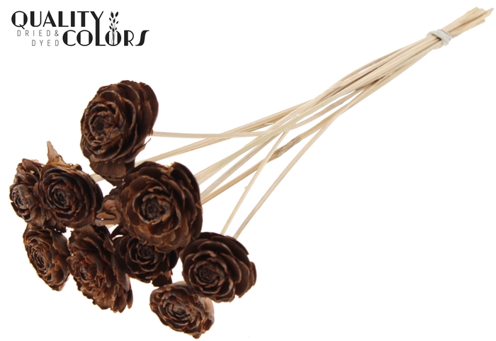 Cedar Rose on stem Natural