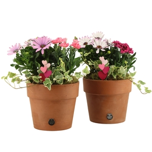 21993: Love outdoor arrangement