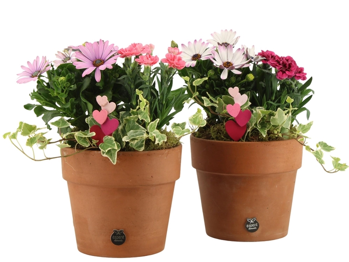 <h4>21993: Love outdoor arrangement</h4>