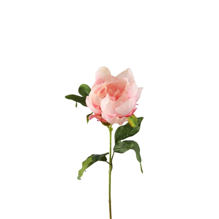 <h4>Kunstbloemen Paeonia 57cm</h4>