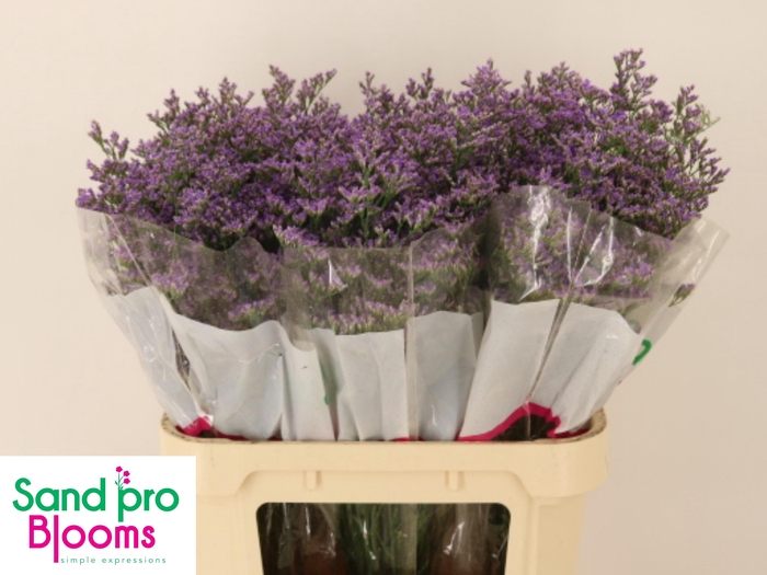 <h4>LIM OV SKYLIGHT</h4>