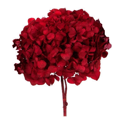 <h4>Hydrangea / Hortensia Red HRT/0200</h4>