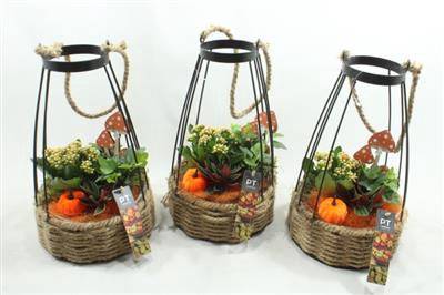 <h4>5450 ORANGE XL KOOI HOOG</h4>