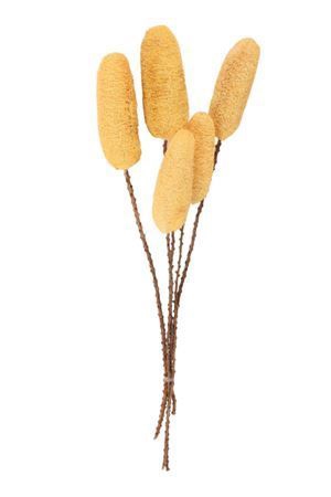 <h4>Deco Luffa 5pc Light Yellow Bunch Slv</h4>