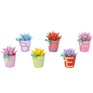 Thank you Teacher Arr. Succulent Ceramic Pot ABC Ø07cm 1PP