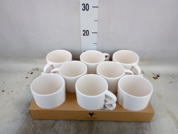 <h4>Pot   ...Keramische H%</h4>