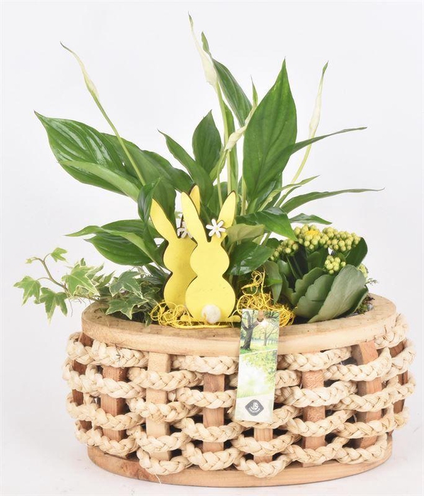 <h4>Hout ovaal met touw 30x12cm</h4>