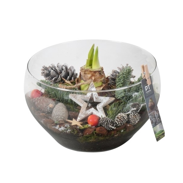 <h4>PTACH8305 Arrangement Amaryllis Kerst in glas schaal</h4>