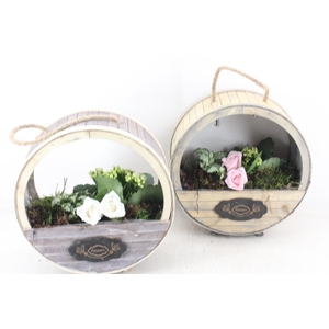 arr2 TD - Houten wiel - roze/wit