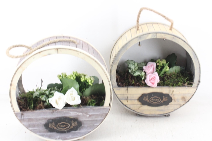 <h4>arr2 TD - Houten wiel - roze/wit</h4>