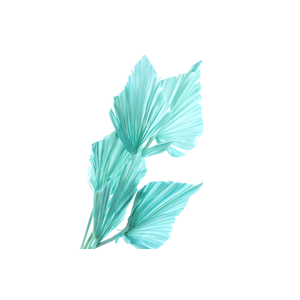 Palm Spear Blue Light