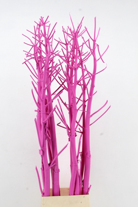 <h4>DROOGBL BEWERKT H%</h4>