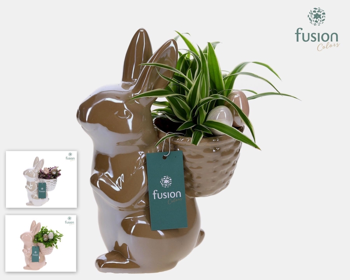 <h4>Haas keramiek Medium Pasen 3 kleuren met groene planten</h4>