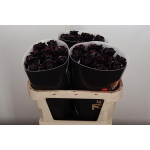 Wax-Rozen Wax Classic Black