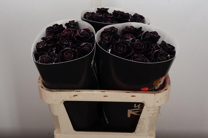 <h4>Wax-Rozen Wax Classic Black</h4>