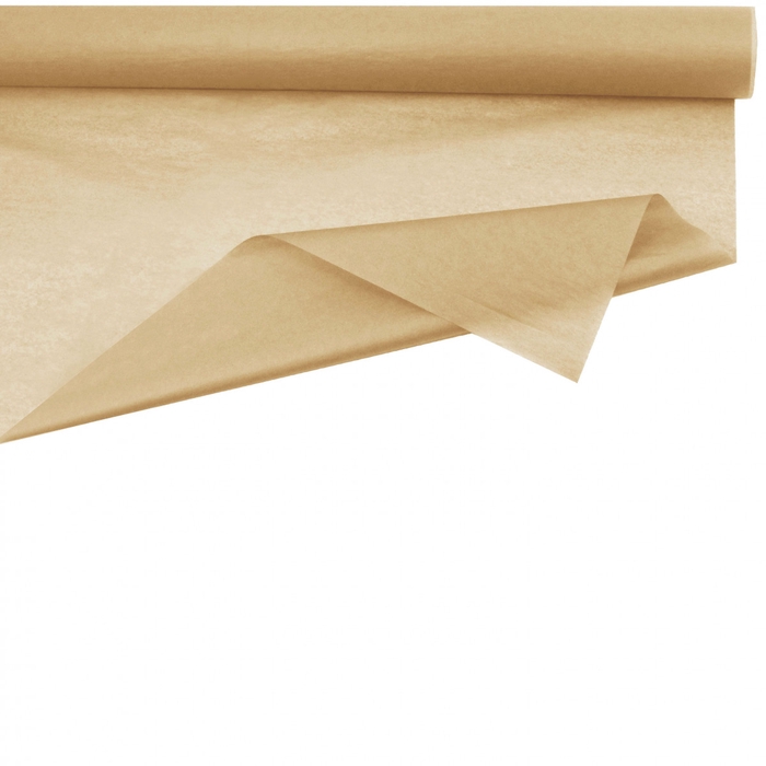 <h4>Paper Roll silk 75cm 50m 28g</h4>