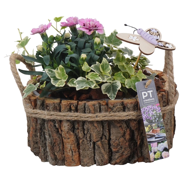 <h4>PTPP6984 Arrangement Patio in houten bak</h4>