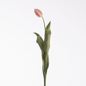 AF Tulip L69cm Pink