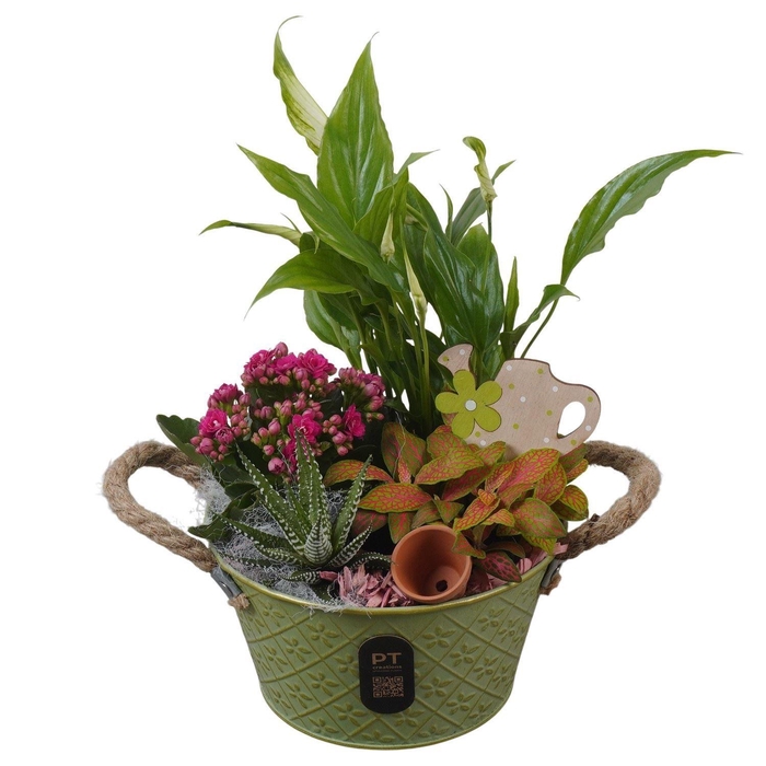 <h4>Arr.    Planten  L%</h4>