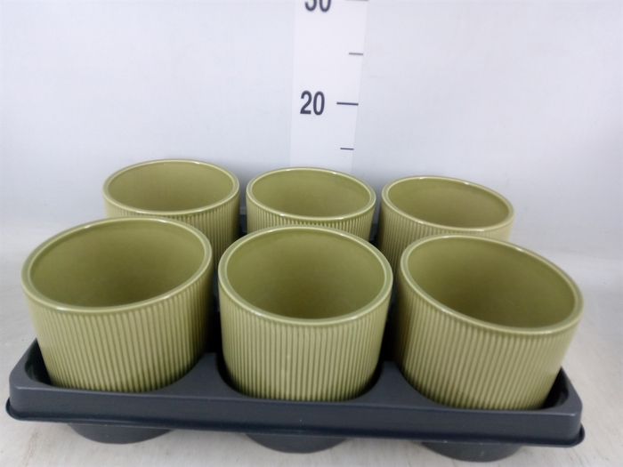 <h4>Pot   ...Keramische H%</h4>