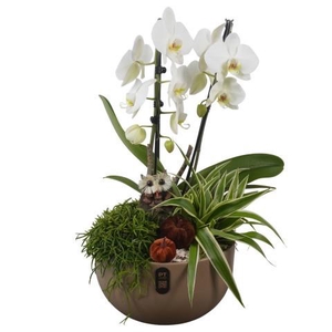 PTHI3253 Arrangement Autumn Indoor in keramiek schaal