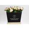 Paeonia Florence Nicholls