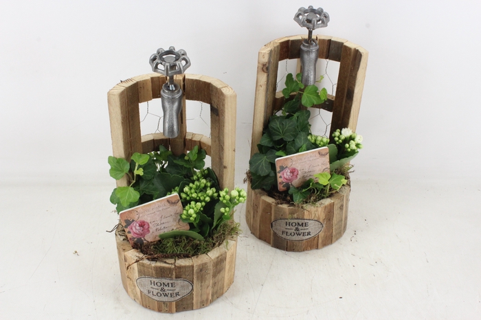 <h4>arr2 TD - Hout waterput - roze/wit</h4>