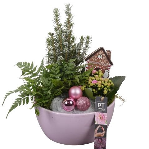 <h4>PTCHP3515 Arrangementen Kerst</h4>