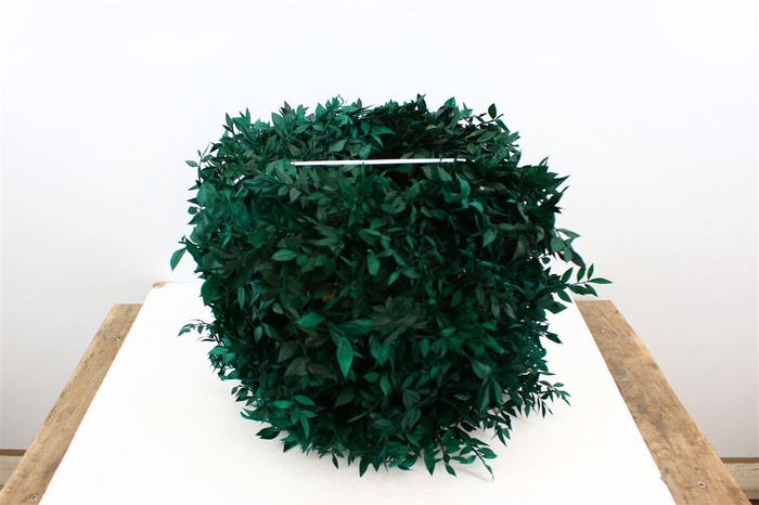 <h4>Wr Pres Ruscus 30cm Green</h4>