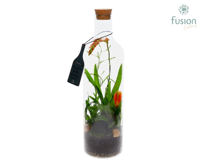 <h4>Green Bottle Fles Large met Bromelia</h4>