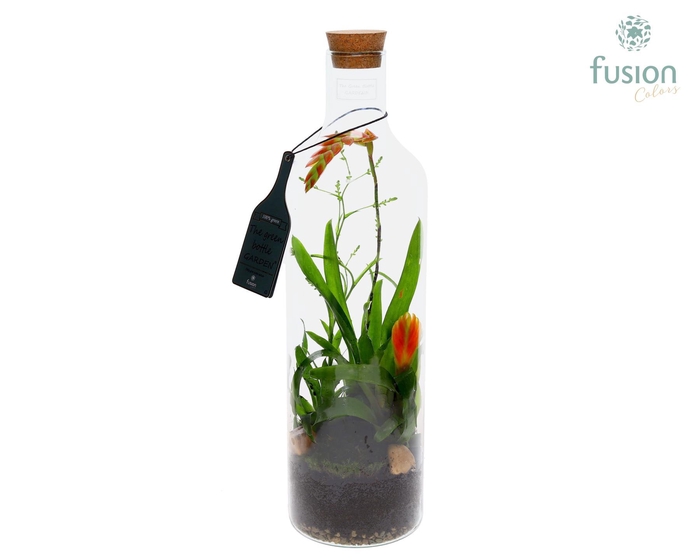 <h4>Green Bottle Fles Large met Bromelia</h4>