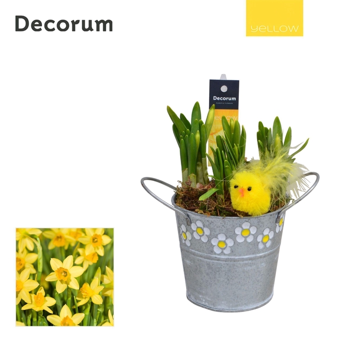 <h4>Narcis Spring Bucket Mini HL15475 [YELLOW]</h4>